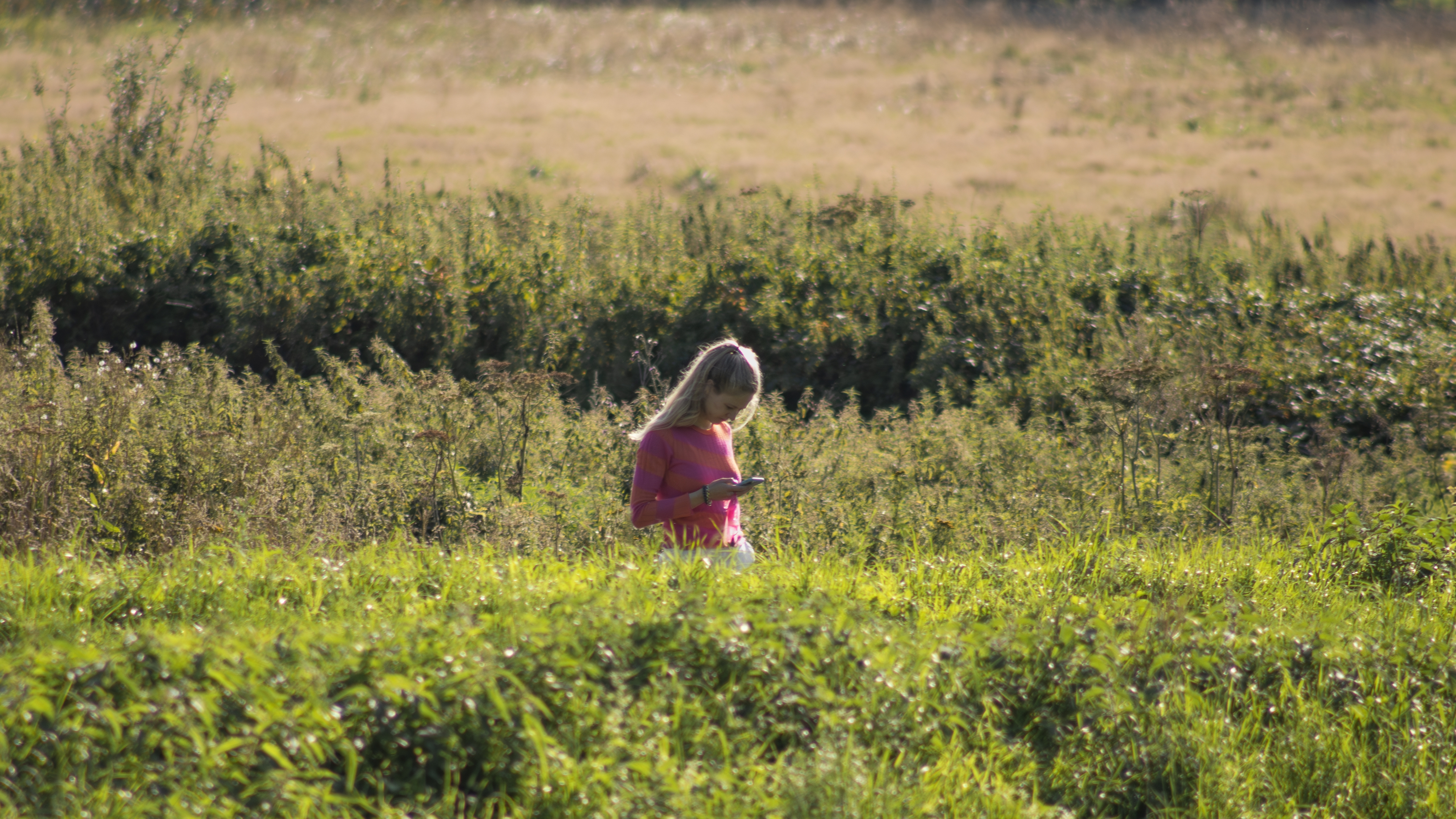 21st Century. Prologue.